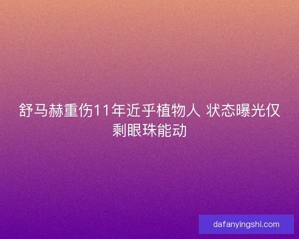 舒马赫重伤11年近乎植物人 状态曝光仅剩眼珠能动