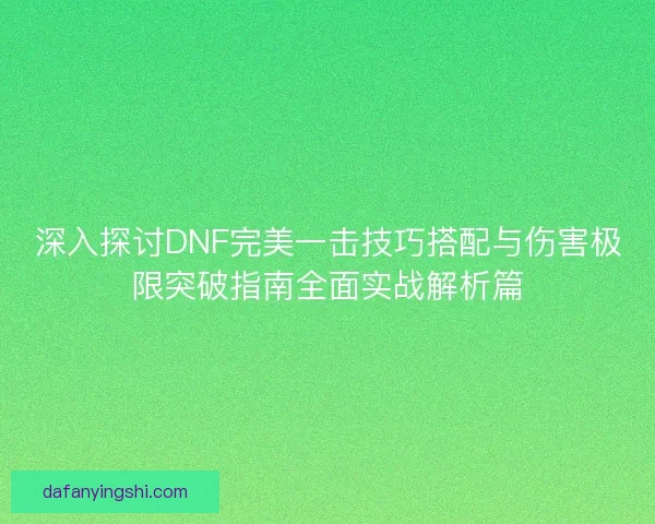 深入探讨DNF完美一击技巧搭配与伤害极限突破指南全面实战解析篇