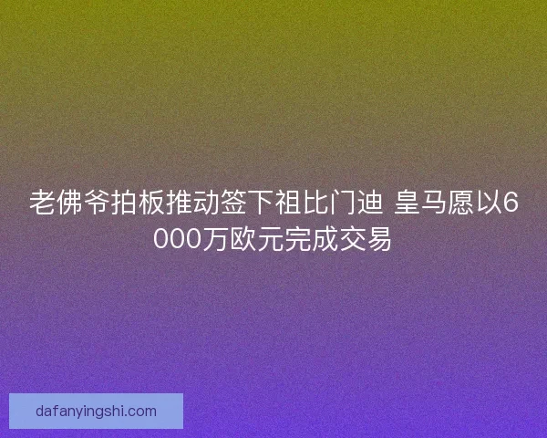 老佛爷拍板推动签下祖比门迪 皇马愿以6000万欧元完成交易 老佛爷拍板推动签下祖比门迪 皇马愿以6000万欧元完成交易